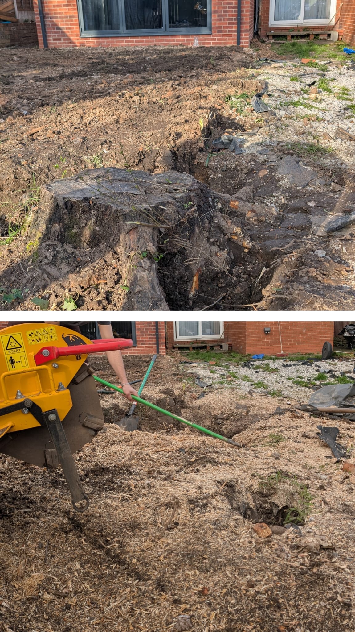 Before and after stump grinding